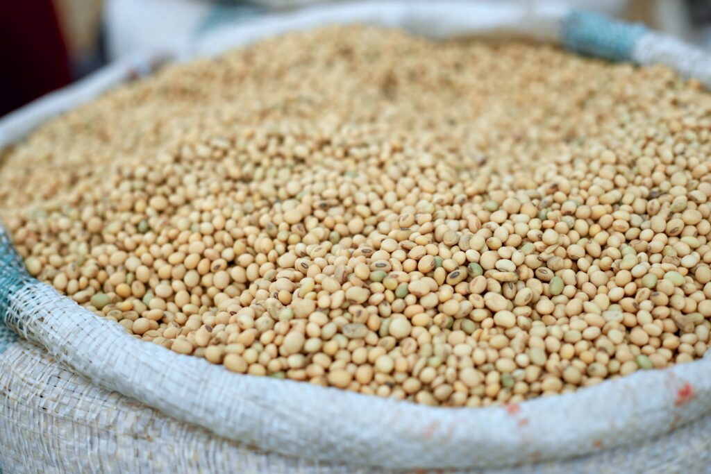 Dried Korean soybeans in a sack at the market