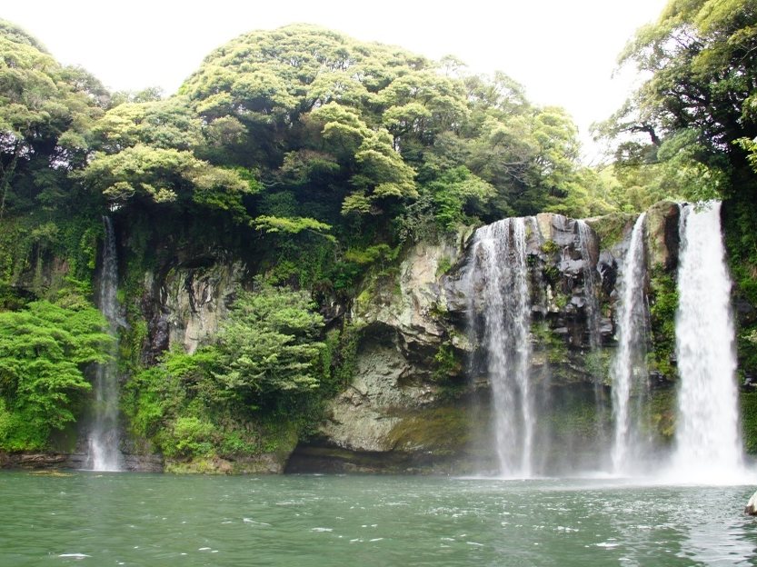 Cheonjiyeon waterfall dropping into a green pool inside subtropical forest on Jeju