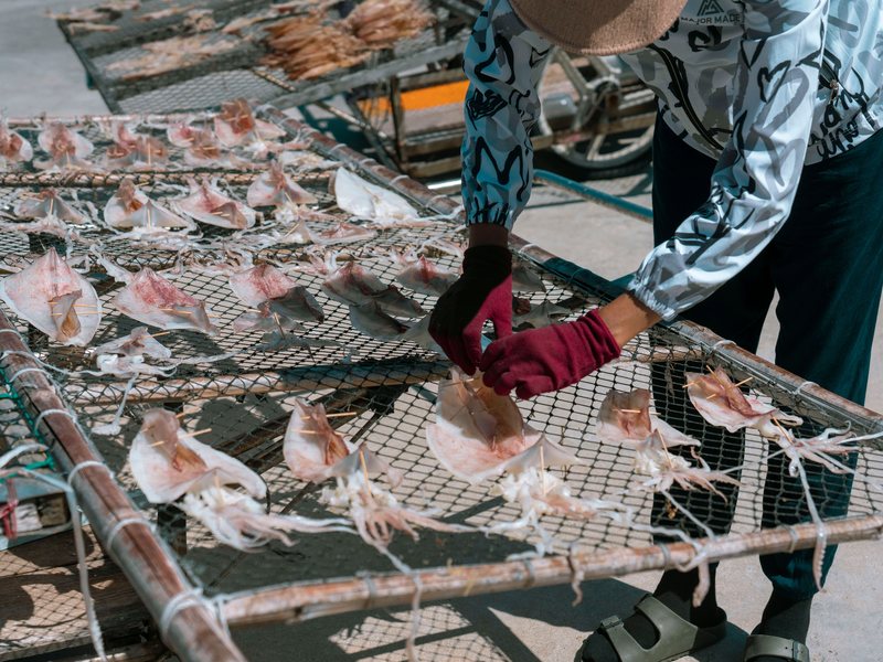 Squid laid out to dry on racks at a harbour on Ulleungdo