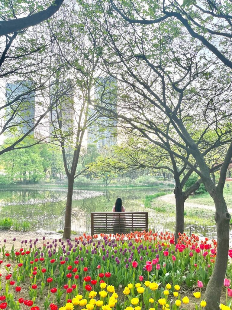 Seoul Forest, before seven the hour nobody else shows up Go at 7am. Nobody else does. The best hour in Seoul Forest is 7am